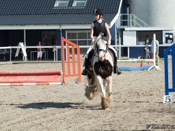 DSC_0029-023